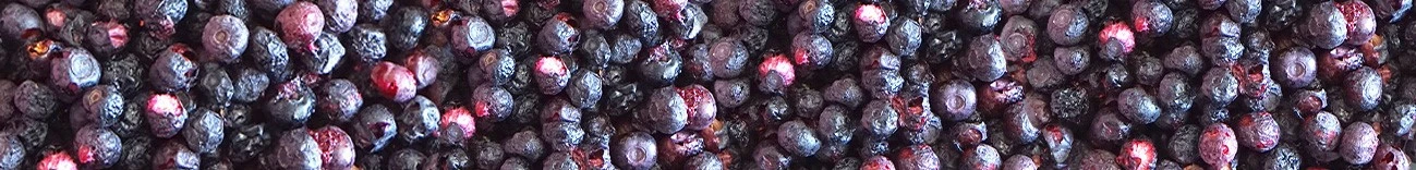 freeze wild blueberries freeze wild blueberries